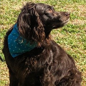 Meet your Posher, Allyson